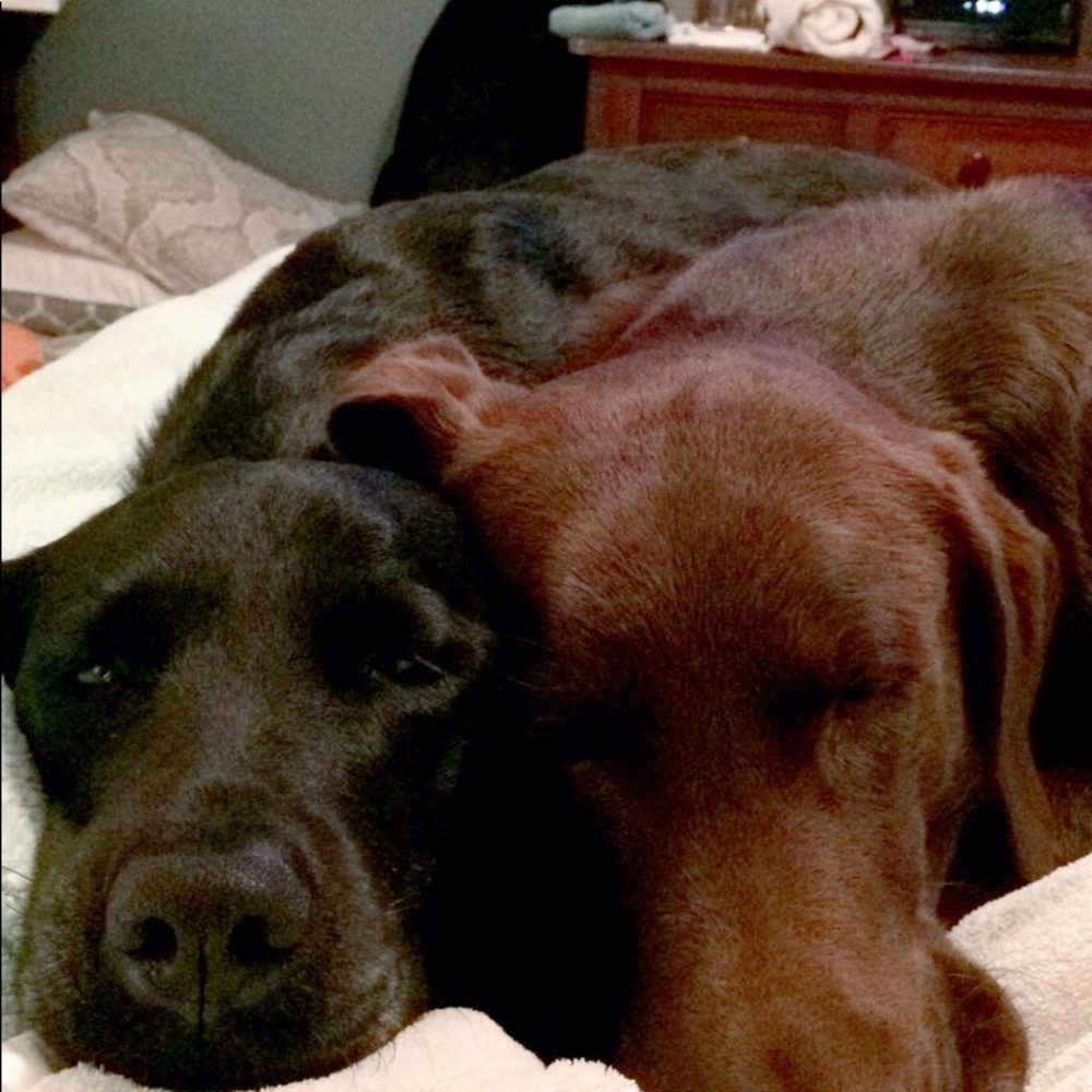 Meet your Posher, Mattison